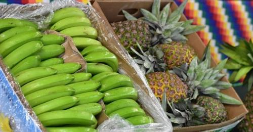 Presidente Arce y las Seis Federaciones discutieron sobre el desarrollo del trópico de Cochabamba