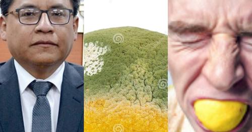 SOBRE LIMAS, LIMONES Y OTROS ÁCIDOS DENTRO DEL PROCESO DE CAMBIO