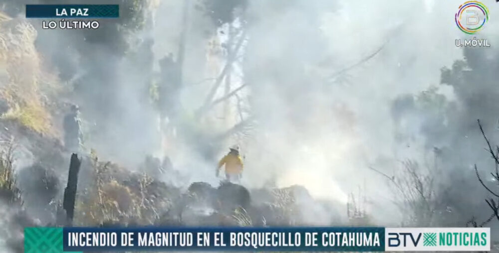 Bomberos controlan incendio en el bosquecillo de Cotahuma en La Paz