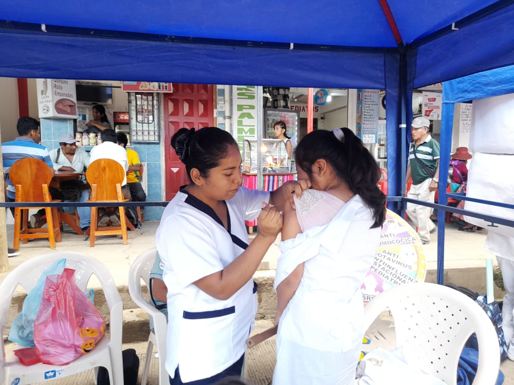 La campaña de vacunación se desarrolló en el municipio de Caranavi. (Foto: GAMC).