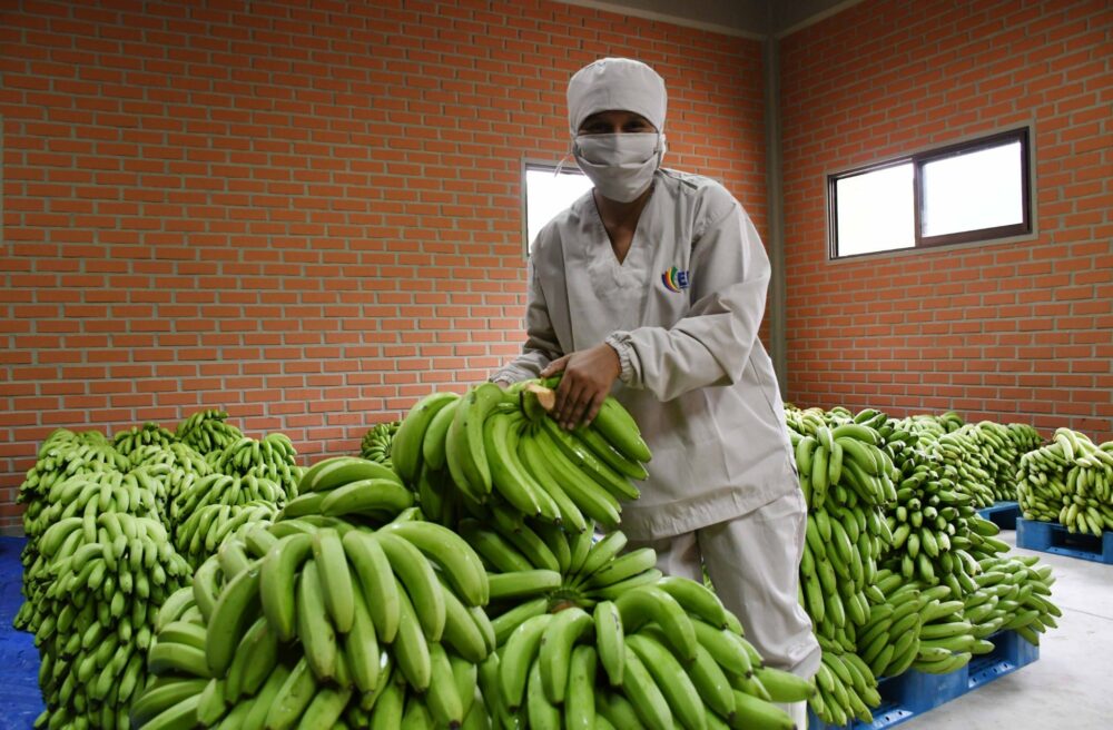 Exportaciones alcanzan a $us 9.456 millones e importaciones a $us 8.354 millones a agosto