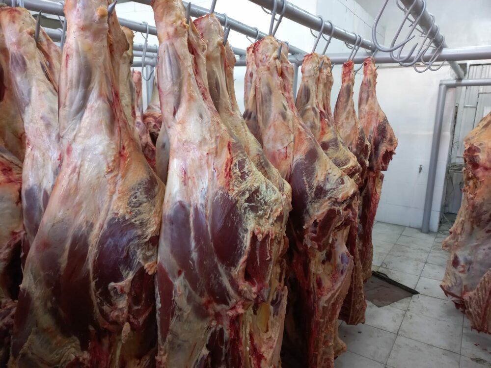 Defensa del Consumidor fiscaliza que la carne beniana llegue a vendedores al detalle para estabilidad de precios