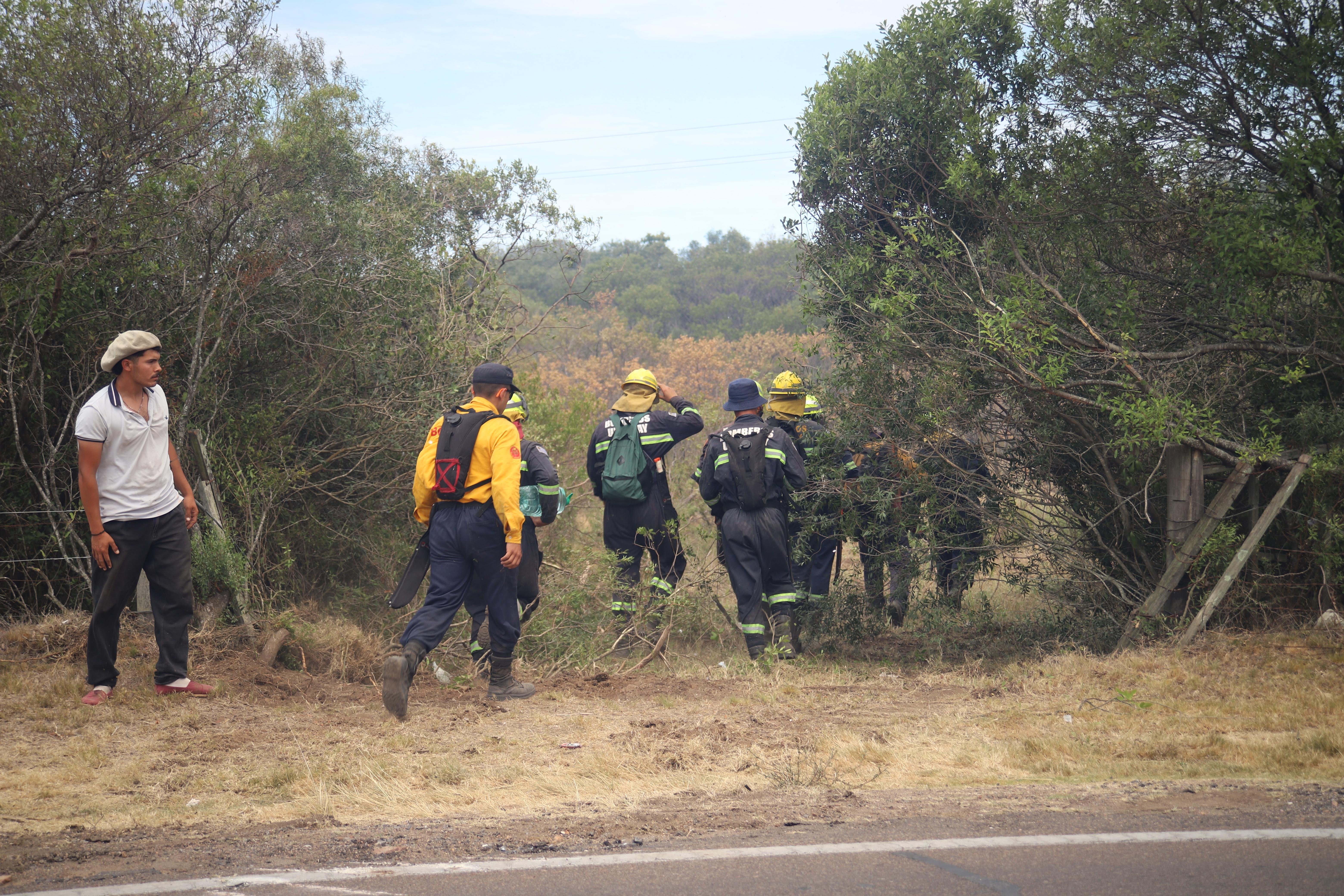 Bomberos siguen trabajando en tareas de enfriamiento en Piriápolis y atribuye “intencionalidad” al origen del fuego por sus características.