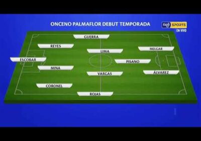 🔬El onceno que posiblemente utilice Palmaflor está temporada.