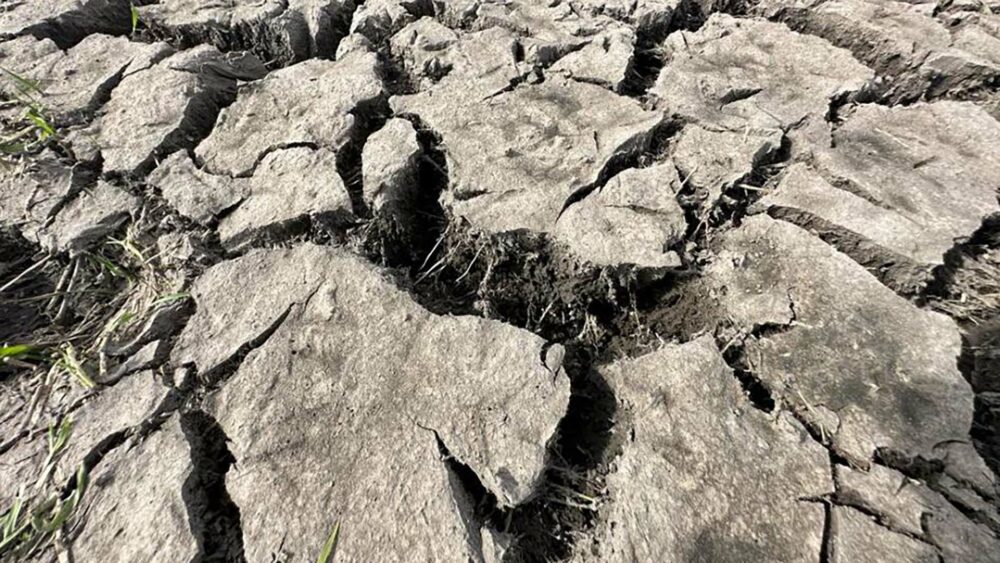 Para Metsul, la peor zona del mundo en riesgo de sequía según los índices de estado de la vegetación se concentra entre Argentina, Uruguay y Rio Grande do Sul.