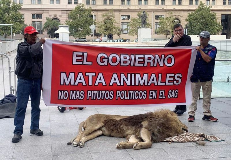 Los manifestantes reclamaban por el cese de estos procesos del SAG (REUTERS)