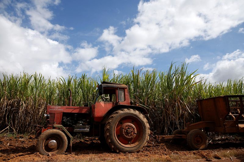 FOTO DE ARCHIVO: Un tractor cerca de un campo de caña en Florida, Cuba (REUTERS/Carlos García Rawlins)