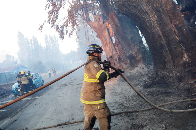 Un bombero trabaja en un área rural en Quillón, Chile. Febrero 2, 2023 REUTERS/Juan Gonzalez