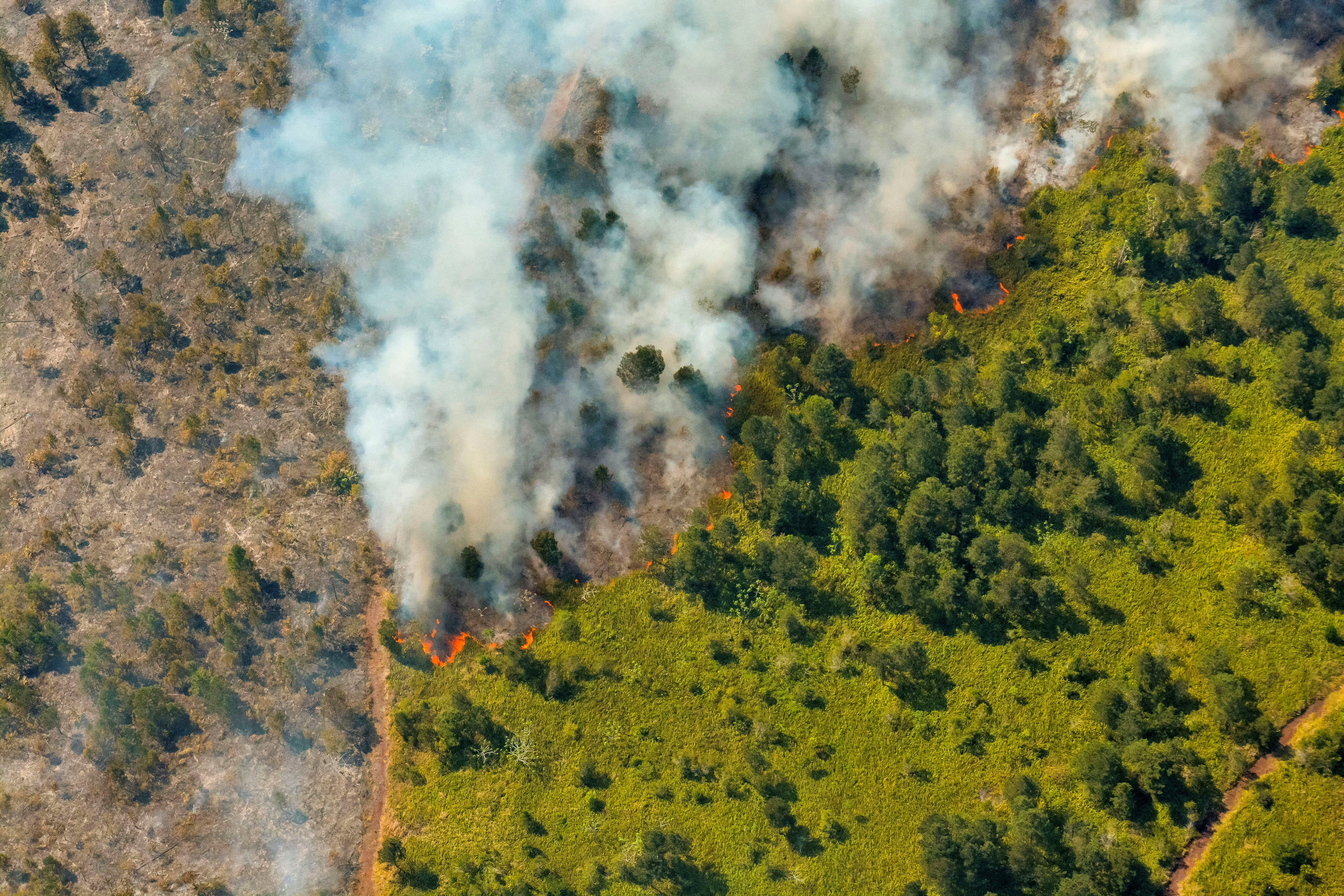 Los incendios han afectado más de 1.300 hectáreas (REUTERS)