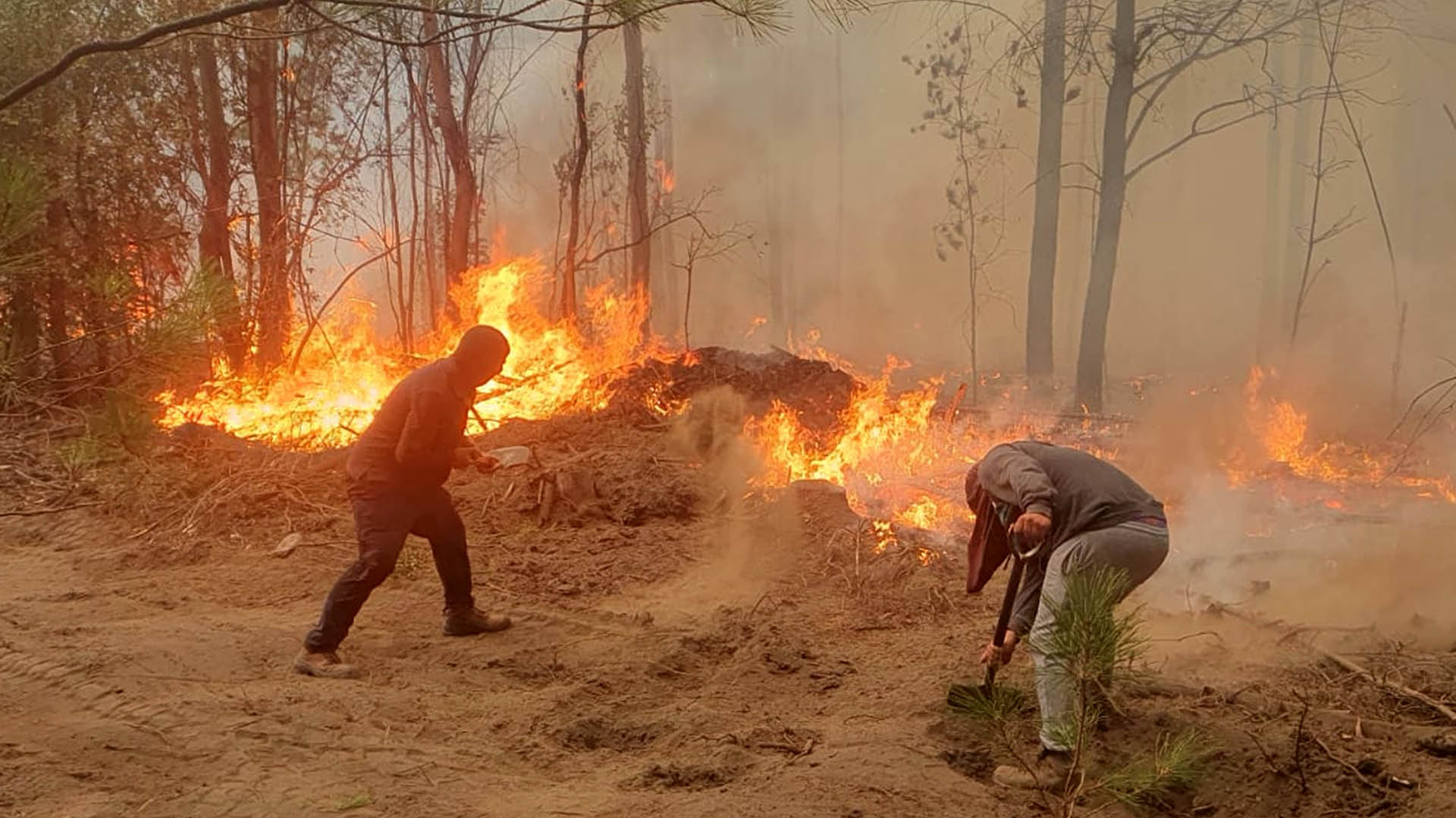 Quilleco, 6 de febrero de 2023.
Incendios forestales se registran en la comuna de Quilleco region del Bio Bio.
Livio Silva/Aton Chile