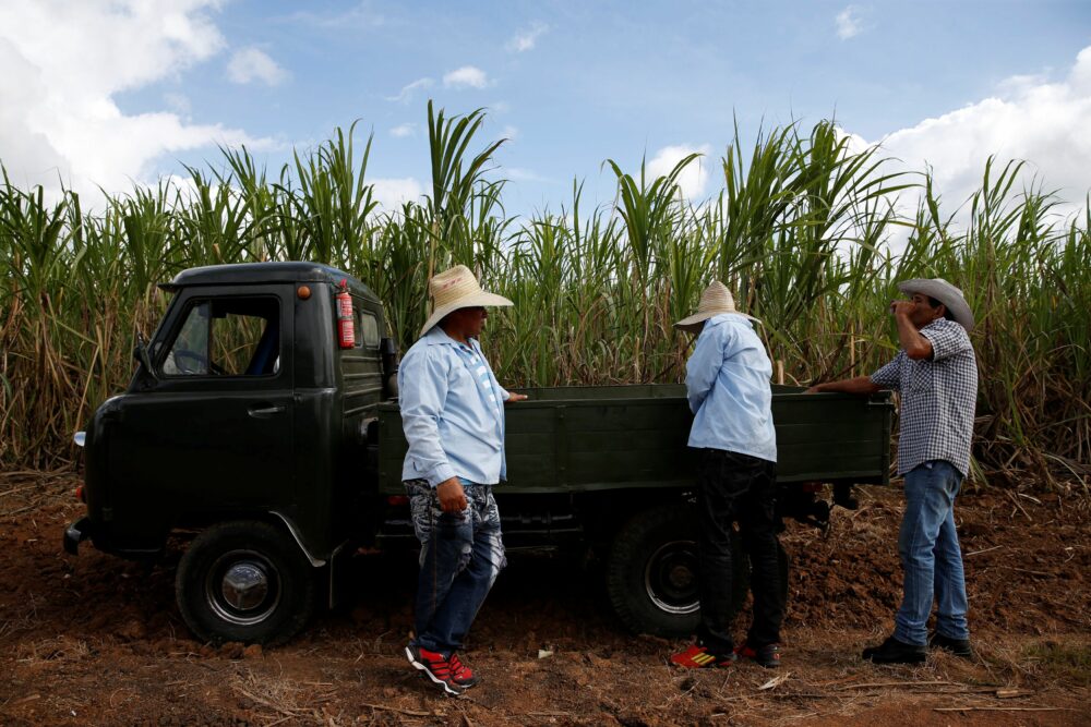 Al cierre de 2022, el 21,6% de los cubanos tenía más de 60 años (REUTERS/Carlos Garcia Rawlins/File Photo)