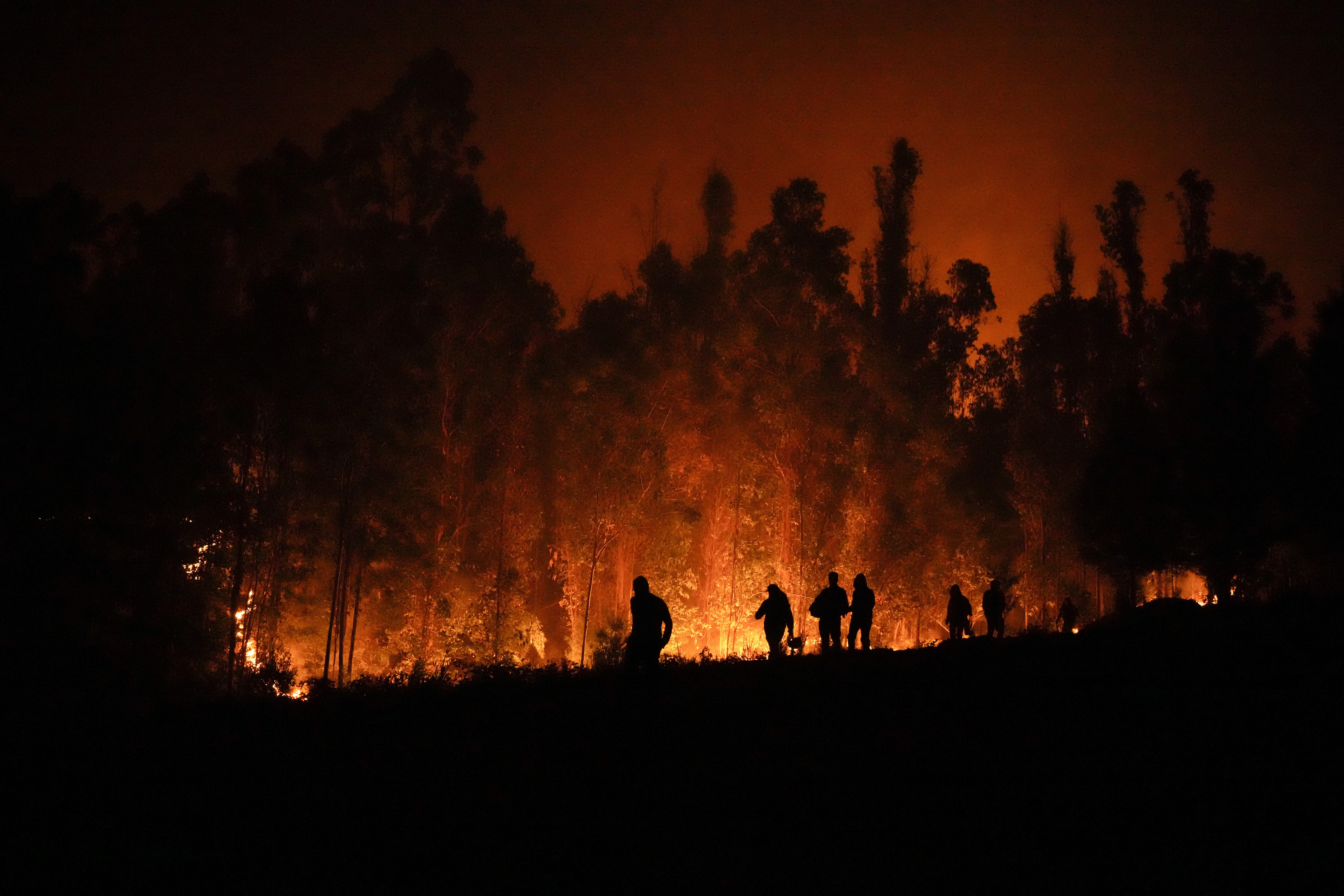Varios voluntarios llevan suministros para los bomberos cerca de árboles que arden en Puren, Chile (AP Foto/Matías Delacroix)