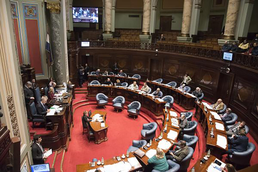 El Parlamento uruguayo está realizando modificaciones al proyecto de ley enviado desde el Poder Ejecutivo.