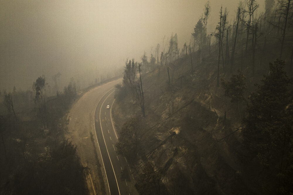 Un automóvil pasa al lado de árboles destruidos por los incendios en Santa Juana (AP Foto/Matias Delacroix)