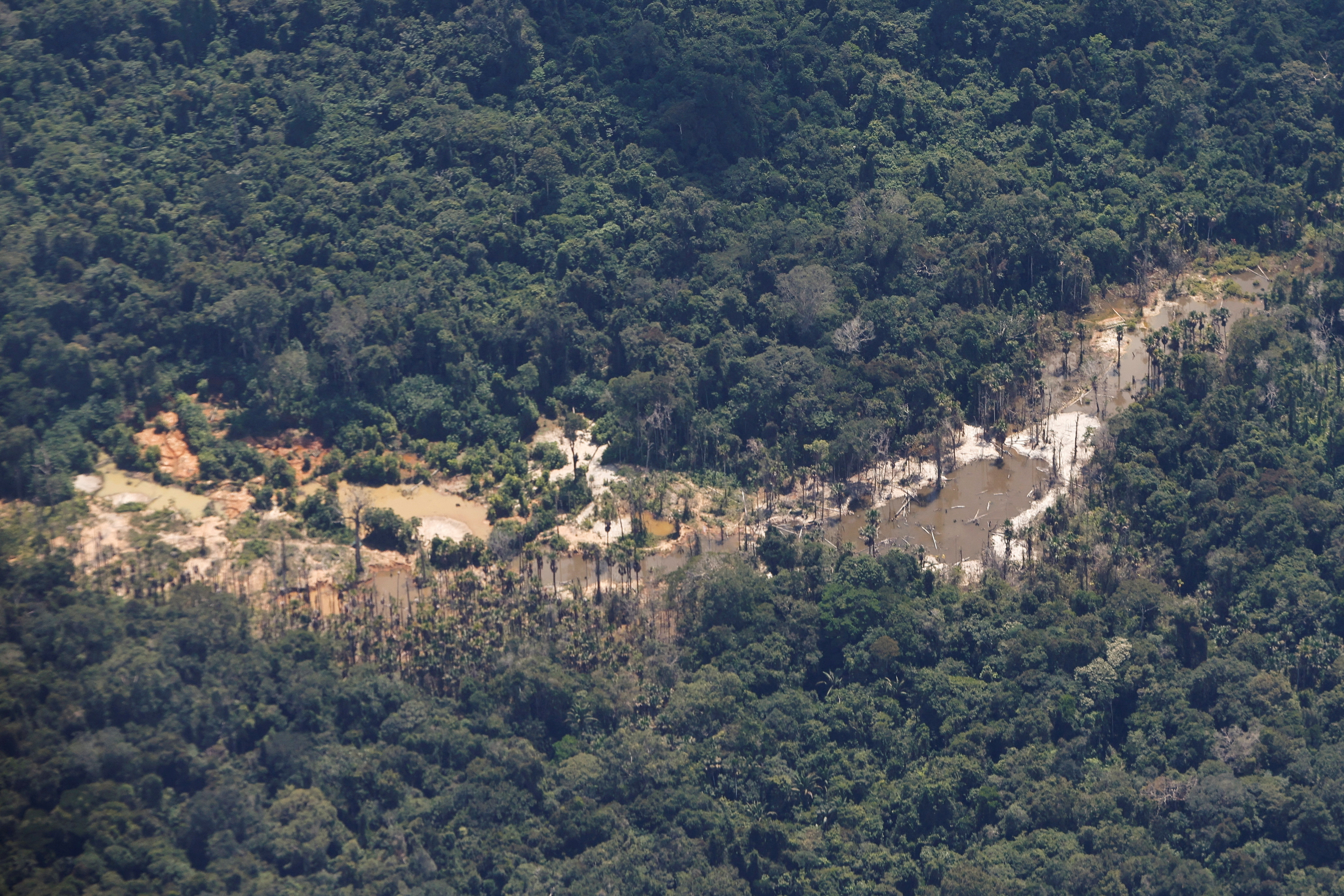 La semana pasada, el gobierno de Lula da Silva ordenó la retirada de los mineros ilegales de la tierra Yanomami, el mayor territorio indígena del país, y decretó el estado de emergencia sanitaria por las graves condiciones de desnutrición y de enfermedades en la zona. (REUTERS)