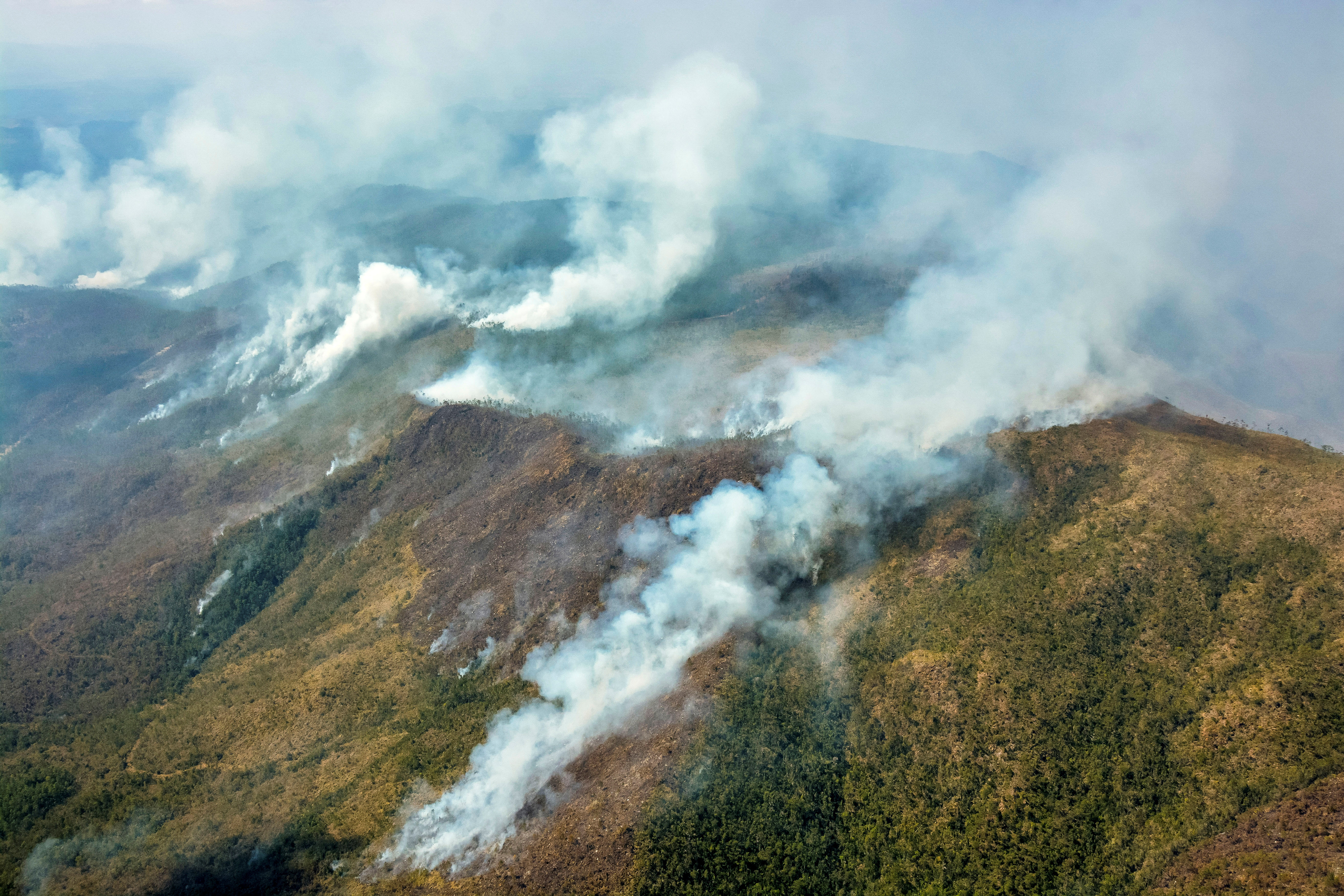 Más de 400 bomberos y guardabosques trabajan para extinguir las llamas (REUTERS)