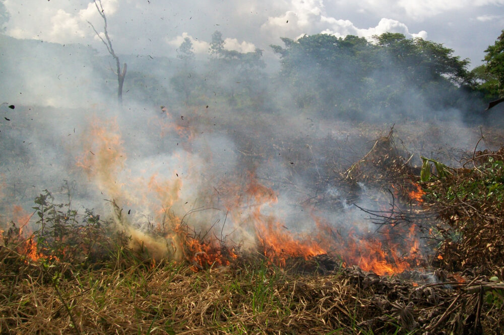 Los puntos con mayor afectación por los incendios han sido los páramos.
Cortesía: SNGRD.