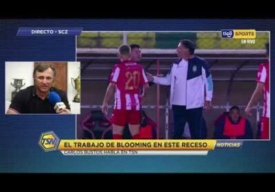 🚨Carlos Bustos – DT. de Blooming habló con Tigo Sports Noticias sobre la actualidad de la academia.