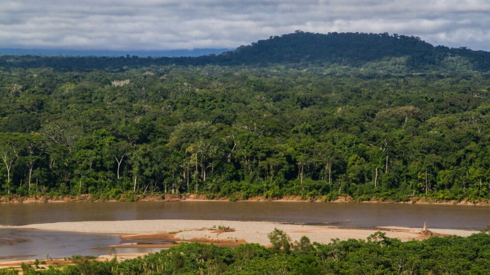 Una vista de la selva amazónica de Bolivia (Getty/Archivo)
