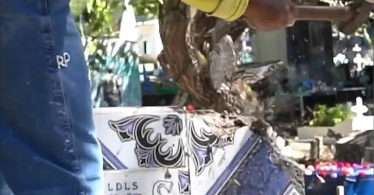 El video que muestra cómo presos en El Salvador destruyen tumbas de