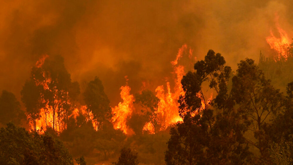 Los incendios forestales en la zona centro-sur de Chile, ya llevan casi un mes activos, y han dejado un saldo de 26 víctimas fatales.