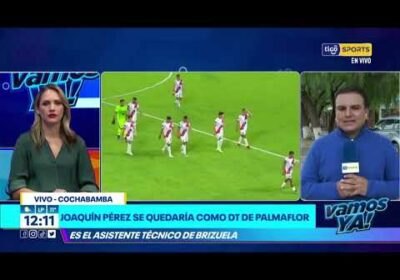 Brizuela decidió dar un paso al costado. Los resultados no lo acompañaron en Palmaflor.