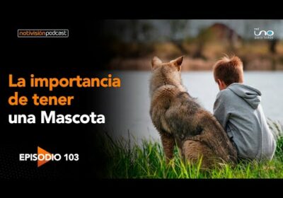 NTV Podcast Ep. 103: La importancia de tener una mascota