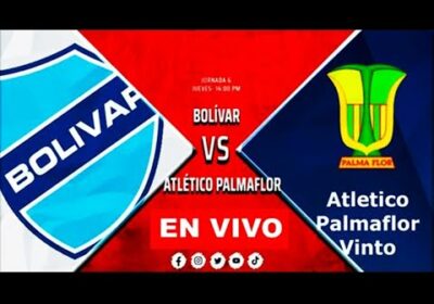 bolivar vs atletico palmaflor en vivo