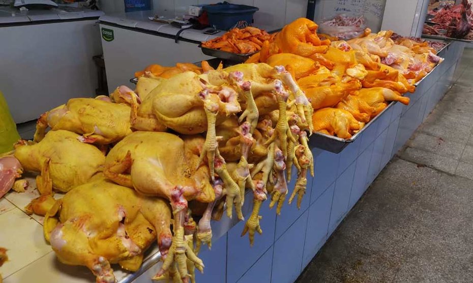 Escasez de maíz incrementa el precio del kilo de pollo hasta Bs 14 en mercados cruceños