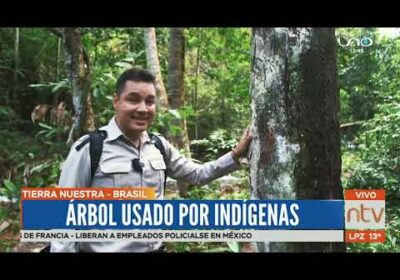 #TierraNuestra | Visitamos la Catarata de Jatoba de 250 metros, tras una caminata por la selva amazó
