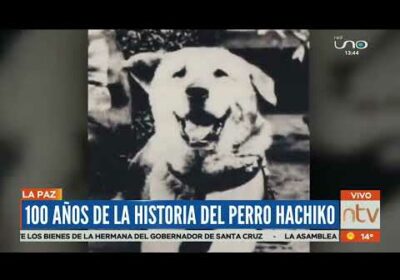 La historia de HACHIKO, el perro más fiel del mundo