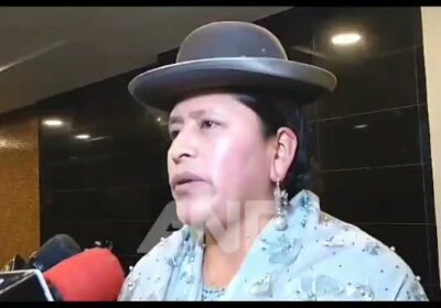 | La senadora del MAS, Virginia Velasco, sobre la aprobación de un crédito…