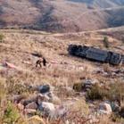‘LISTA PRELIMINAR’ DE AFECTADOS EN EL EMBARRANCAMIENTO DE UN BUS EN MIZQUE QUE, PROVOCO LA MUERTE DE CINCO PERSONAS