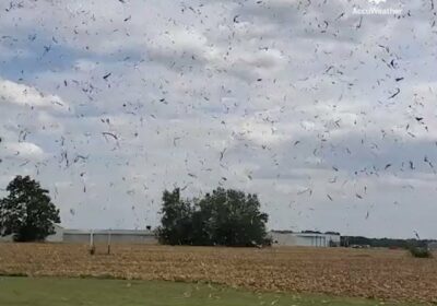 | ¡Cuidado con el demonio del maíz! La oficina del NWS en Topeka, KS,…