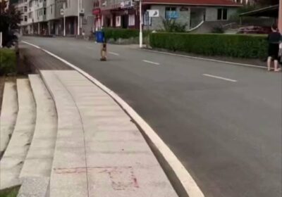 | Firu sorprende con su increíble destreza con la patineta