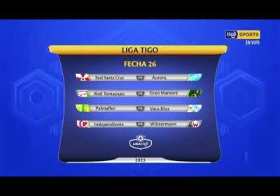 🤩 Estos serían los partidos de la próxima fecha si es que se reanuda el torneo 🏟️🏆