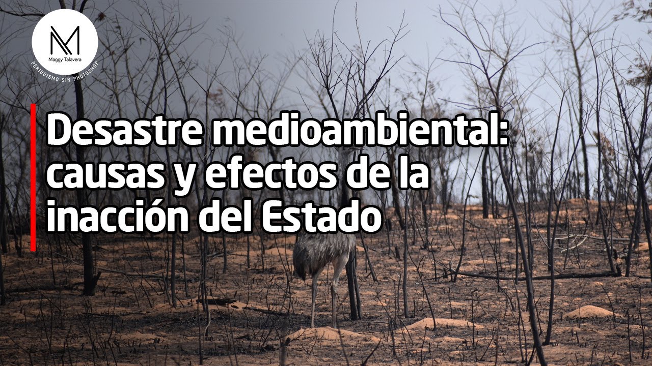 Desastre medioambiental: causas y efectos de la inacción del Estado ...