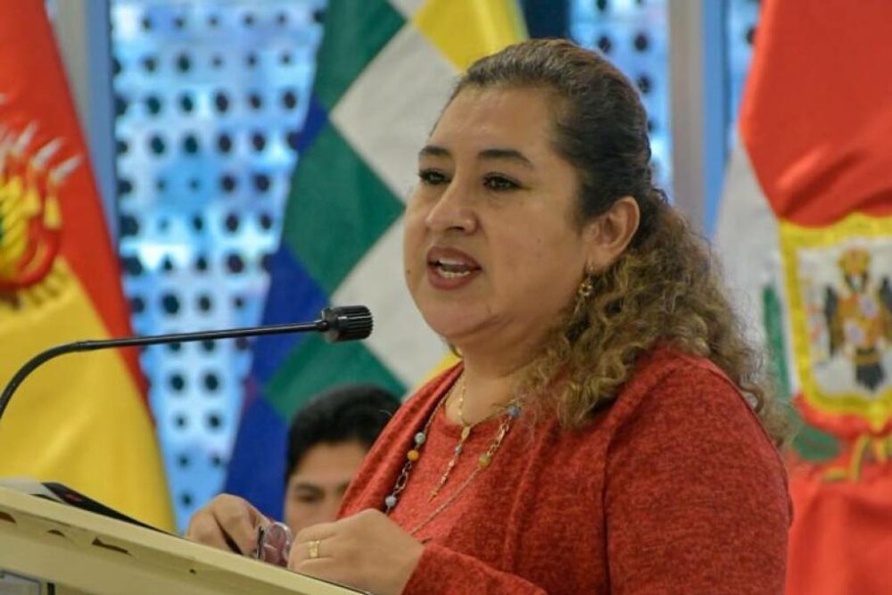 La senadora del MAS, Gladys Alarcón La senadora del MAS, Gladys Alarcón