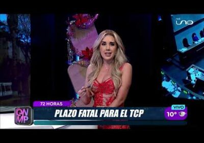 Copia de ALP otorga 72 horas al Tribunal Constitucional para emitir fallo sobre las judiciales