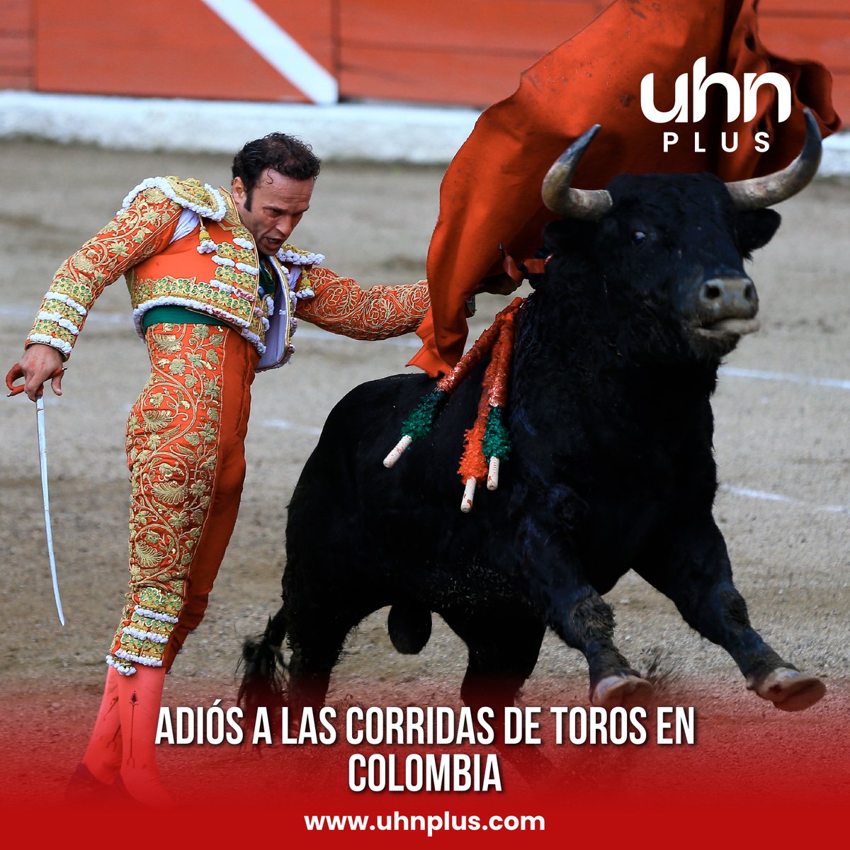 URGENTE Colombia aprueba un proyecto de ley que prohíbe las corridas de ...