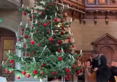 🇨🇭 | Encendido de un árbol de Navidad en una iglesia de Suiza: