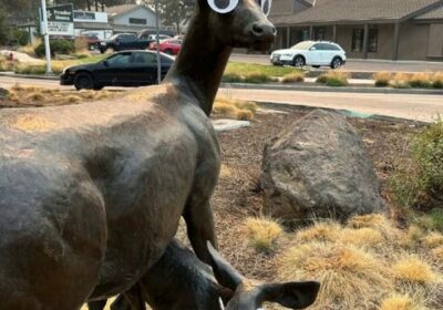 🇺🇸 | La ciudad de Bend, en Oregon, pide a los residentes que dejen…