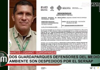 ¿Cacería de jaguares en predios (tierras) de un ex presidente de Bolivia? Marcos Uzquiano…