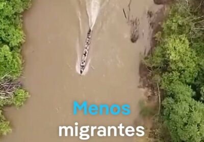 Se redujo casi a la mitad el número de migrantes que cruzó la selva…