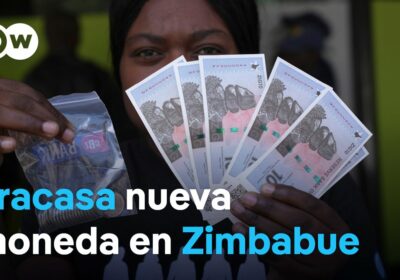 El ZiG no logra estabilizar la economía de Zimbabue La nueva moneda ha disparado…