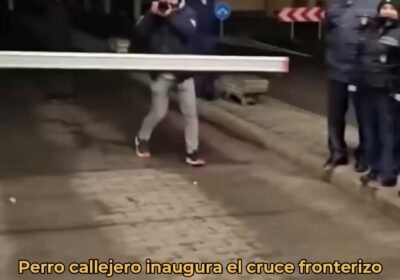 🇷🇴🇭🇺 | Un perro callejero fue el primero en cruzar la frontera Rumania-Hungría tras…