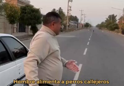 | Un hombre reúne a todos los perros callejeros de la zona para ofrecerles…