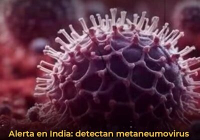 🇮🇳 | URGENTE Primer caso de metaneumovirus humano (HMPV) detectado en India. Un bebé…
