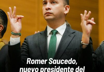 Romer Saucedo, nuevo presidente del Tribunal Supremo de Justicia a través de @correodelsurcom