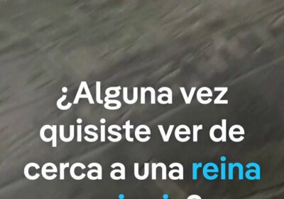 Conoce a una reina egipcia en Realidad Aumentada Restaurar artefactos egipcios, ver animales extintos:…